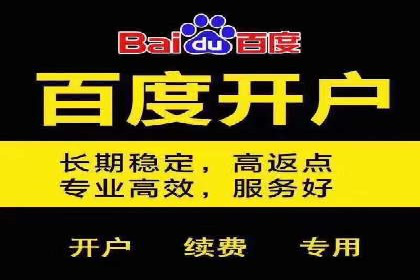 SEM广告投放的创意与执行：成功案例剖析